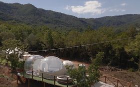 La Bolla dell'Usignolo